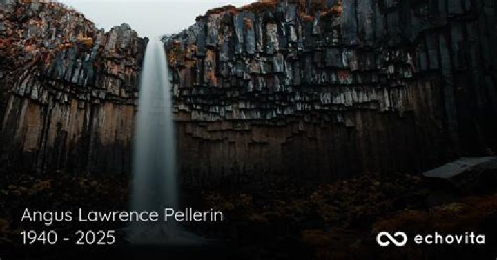 Discover Untold Stories And Insights Behind "alen Pellerin Obituary"