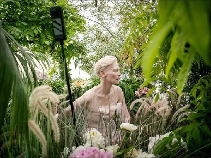 A Pioneer Of The Digital Age