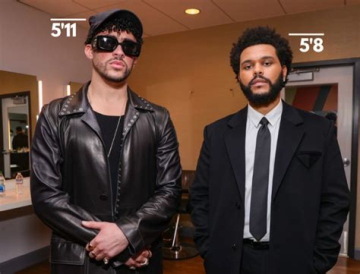 Unlock The Surprising Truths Behind Bad Bunny's Height