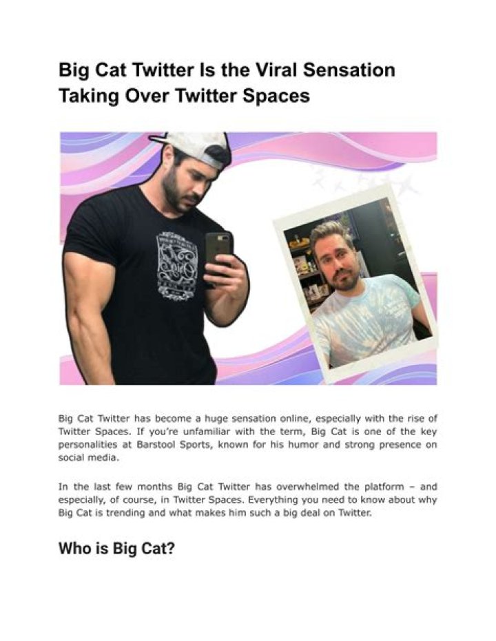 Unleashing The Secrets Of Big Cat Twitter: Discoveries And Insights