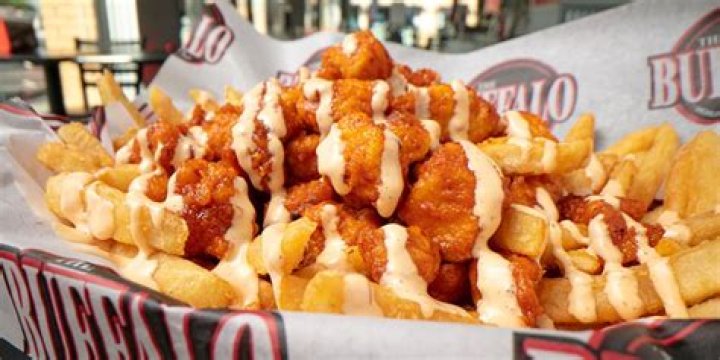 Discoveries And Insights For Wildlife Enthusiasts