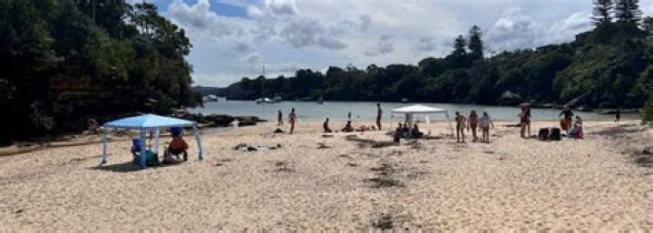 A Hidden Gem In Miami