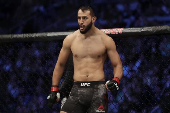 Dominick Reyes' Path To UFC Glory