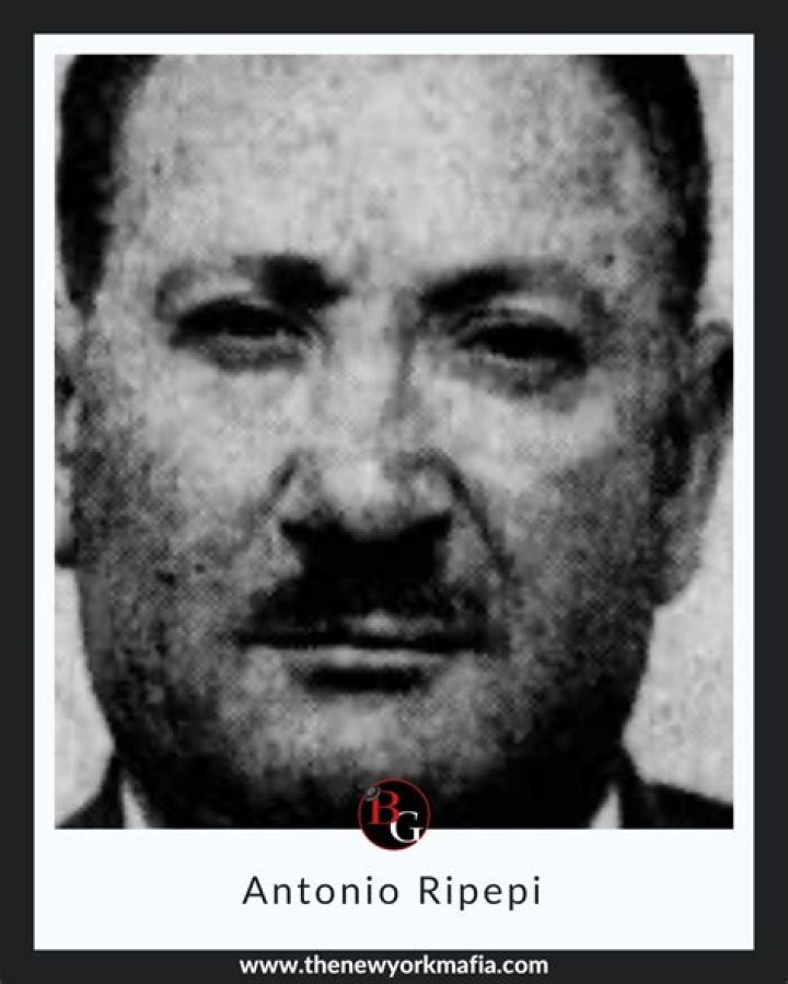 A Journey Of Discovery Through His Obituary