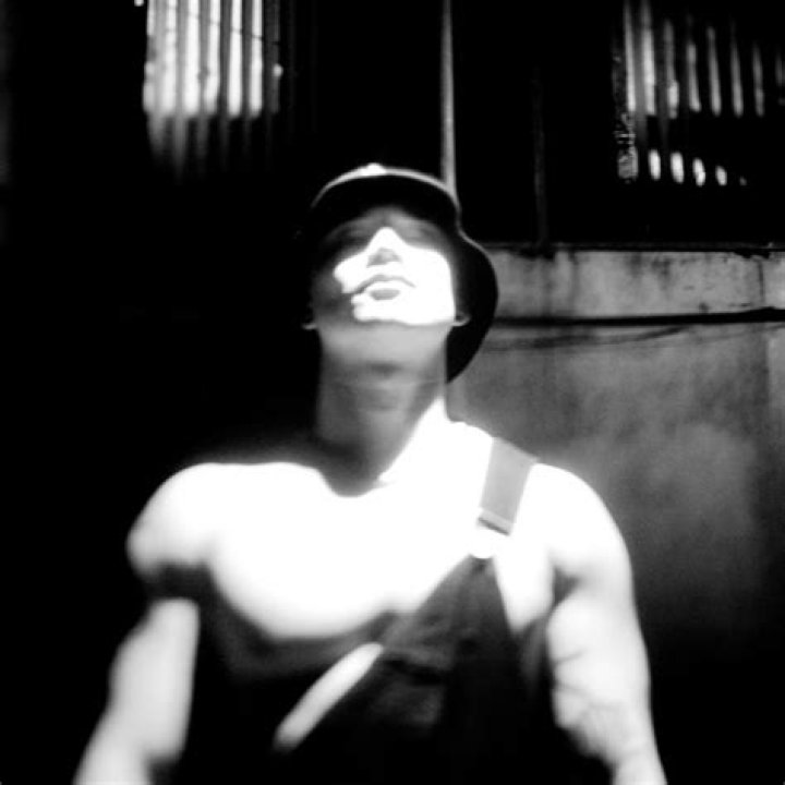 Unveiling The Power Of Haarper: Discoveries And Insights Await