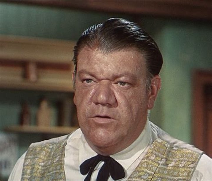 Unraveling The Enigmatic Harry Swoger: Discoveries And Insights