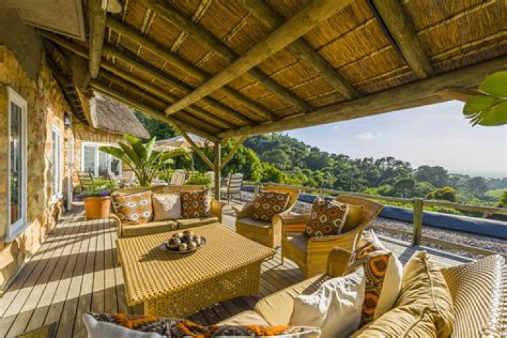 Discoveries And Insights In The African Wilderness