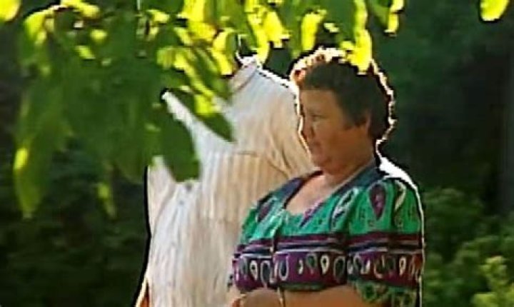 Jelka Pesic's Legacy And Beyond