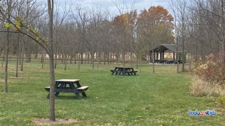 A Danville Hero With Uncommon Courage And Impact