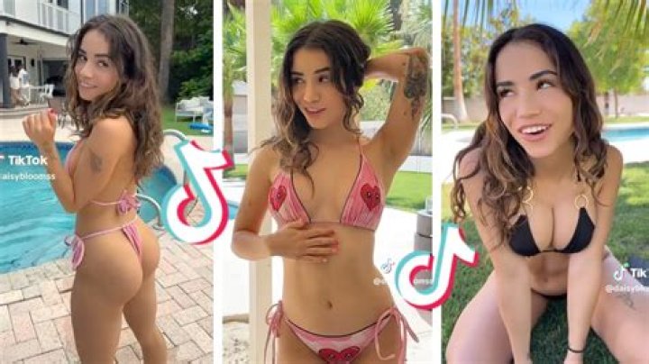 What The Jellybeanbrains Leak Reveals