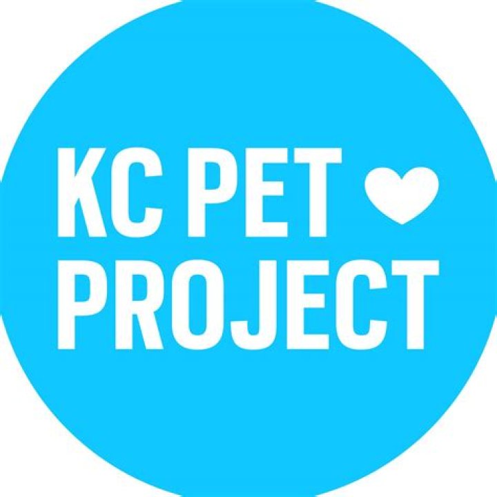 Unveiling KC Pet Project's Impact On The Animal Welfare Landscape