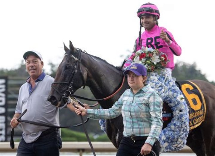 The Lee Einsidler Family Tragedy And Its Hidden Insights