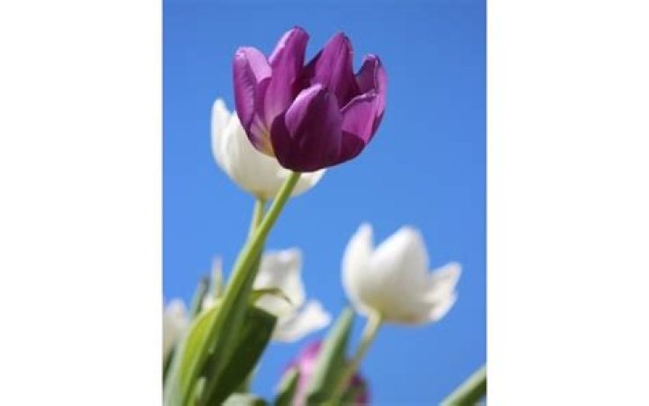 An Obituary Packed With Surprises