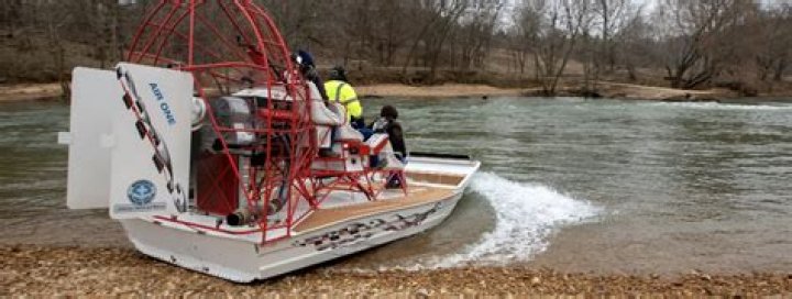 Unveiling The Magic Of Lotus Band Members: Discoveries And Insights