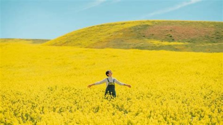 Uncover The Secrets Of Luis Armand Garcia's Remarkable Net Worth