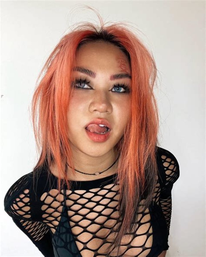 Discoveries And Insights For The Inquisitive