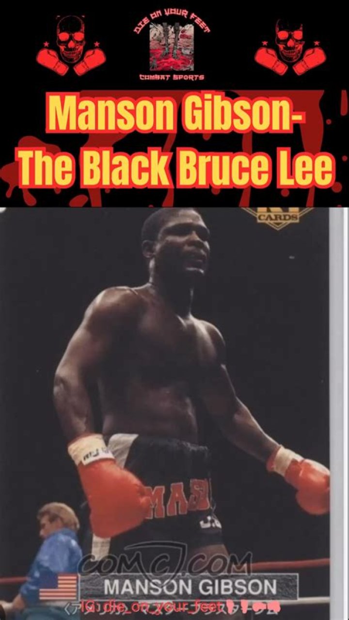 Unveiling The Genius Of Manson Gibson: A Journey Of Discovery