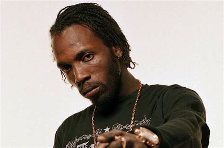 Uncover The World Of Mavado: Insights And Discoveries Await