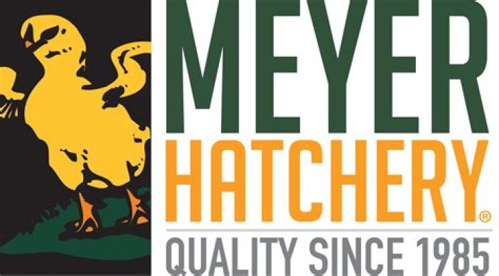 Uncover Hidden Secrets And Insights: Meyer's Hatchery Revealed