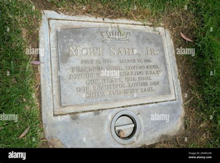 Unveiling The Multifaceted Genius Of Mort Sahl Jr.: Discoveries And Insights