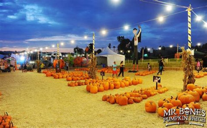 An Autumn Adventure Of Discovery And Delights