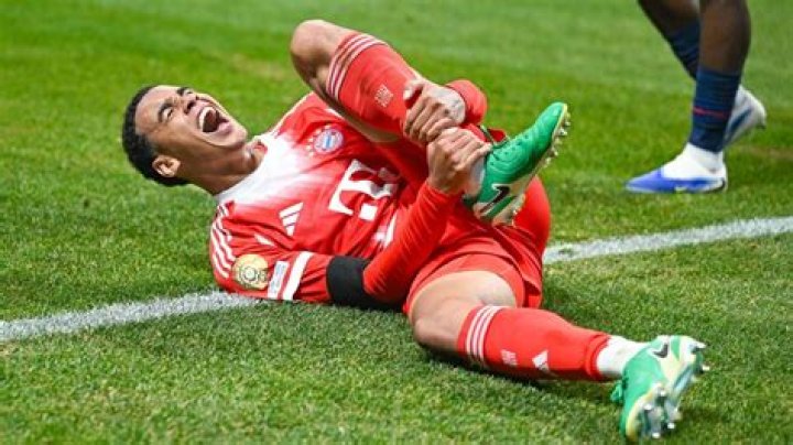 Discover The Impact Of His Vertical Advantage