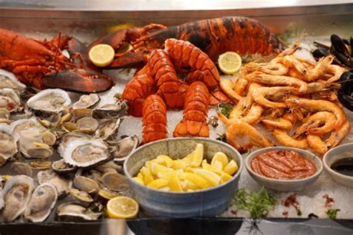 Uncover The Secrets Of Niku X: Discoveries And Insights Revealed