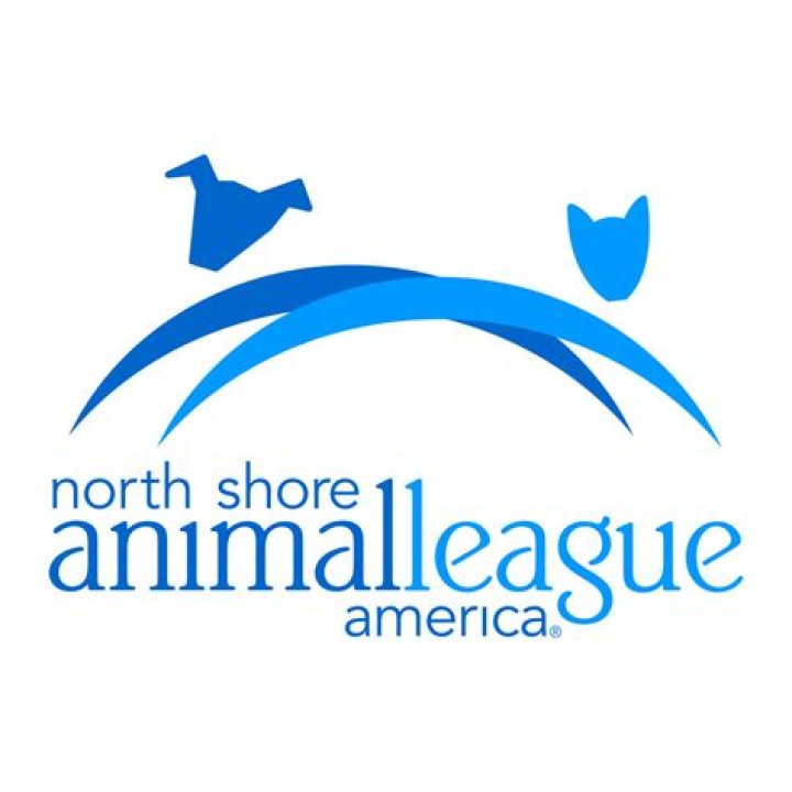A Haven For Animal Lovers