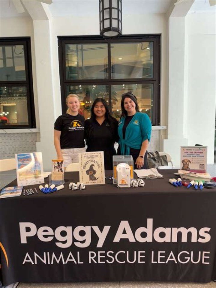 Discover The Heartwarming Haven For Abandoned Pets: Peggy Adams Florida