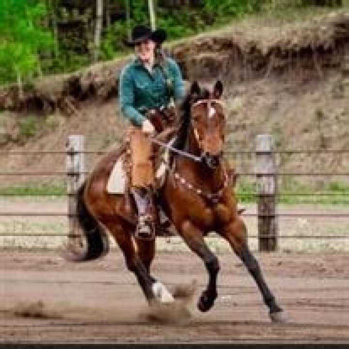 Art, Activism, And Social Impact