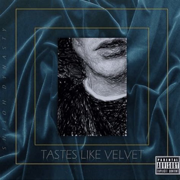 Unveiling The Secrets Of The Shiloh Dynasty: Discoveries And Insights