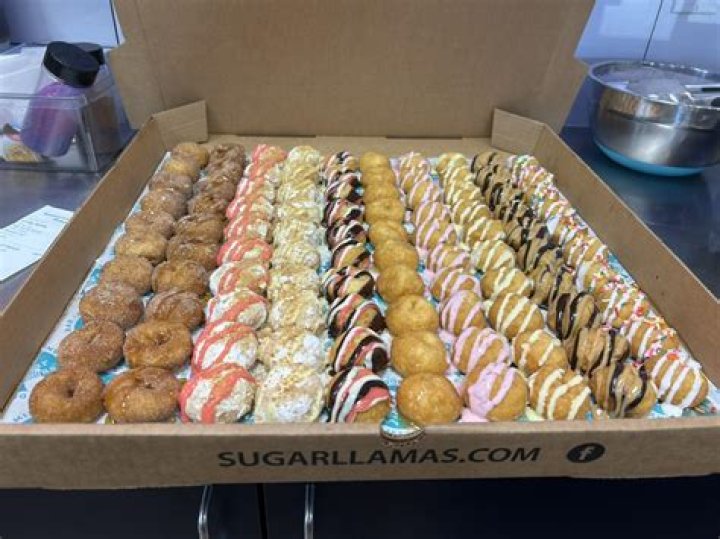 Explore The Enchanting World Of Sugar Llamas