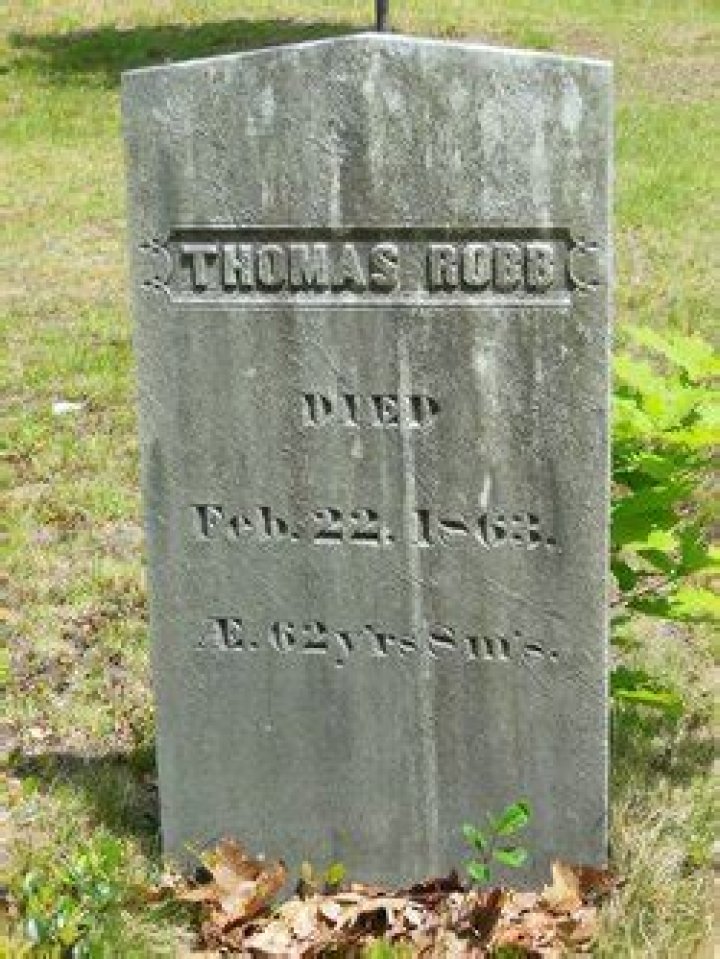 Exploring The World Of Thomas Robb