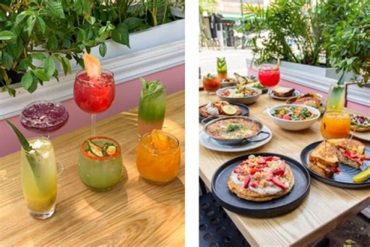 Unlock The Healing Secrets Of Thyme And Tonic: Discoveries And Insights