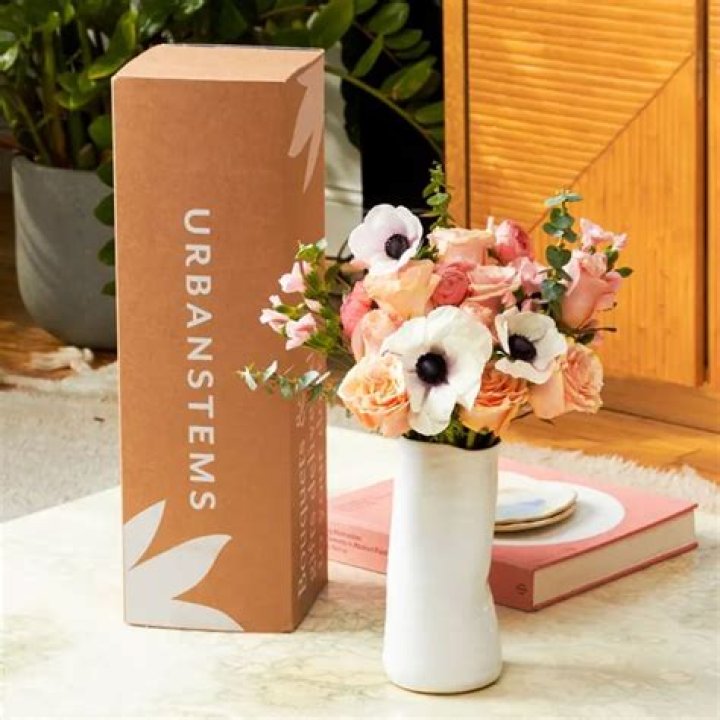 Uncover The Urban Stems Revolution: Discoveries And Insights