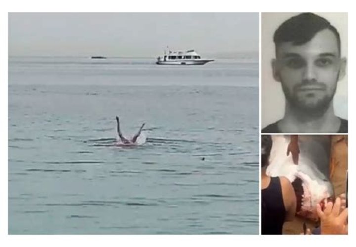 Unlocking The Secrets Of The Vladimir Popov Shark Attack: Discoveries And Insights