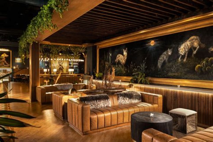 Uncover The Secrets Of Ethical And Sustainable Style With Wren And Wolf