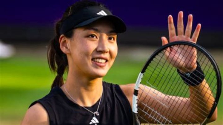 Discoveries And Insights About Xinyu Wang